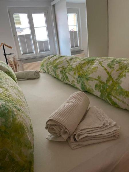Ferienhaus Am Fallertor ألكين المظهر الخارجي الصورة